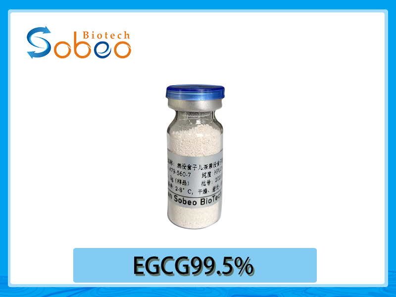 EGCG 98% 99.5%表沒食子兒茶素沒食子酸酯 另有EC EGC 茶黃素